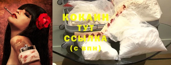 гашик Аркадак