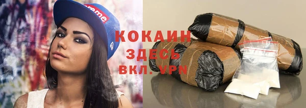 гашик Аркадак