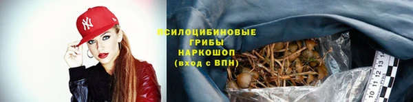 гашик Аркадак