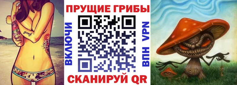 мега ССЫЛКА Устюжна Псилоцибиновые грибы Psilocybine cubensis